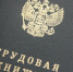 Кубань в числе лидеров среди регионов России по снижению неформального трудоустройства - Приазовские степи