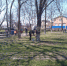 В п.Морском, пригороде Ейска, привели в порядок могилу бойцов Красной армии - Приазовские степи
