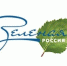 Ейчан приглашают на экологический субботник "Зеленая Россия" - Ейск.Инфо