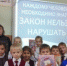 Ейск В станице Должанской Ейкого района появилась аллея катальпы - Ейск Гид