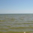 Качество морской воды на пляжах Ейского района соответствует требованиям санитарных правил - Администрация Ейского района