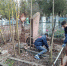 Ейские молодогвардейцы приводят в порядок захоронения ветеранов - Приазовские степи
