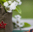 Дом детского творчества Ейского района проводит дистанционный творческий конкурс «Весна Победы» - Приазовские степи