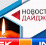 Пакеты, таксисты и коррупция – дайджест от «Ейск.Инфо» - Ейск.Инфо