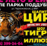 Уникальное ШОУ Цирка-шапито Династии Довгалюк в Ейске - Ейск.Инфо