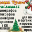 Новогоднее чудо для детей-инвалидов - Ейск.Инфо