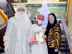 Новогодняя программа