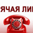 Открыта “Горячая линия” - Ейск.Инфо