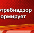 Рекомендации по выбору и эксплуатации пиротехнических изделий - Администрация Ейского района