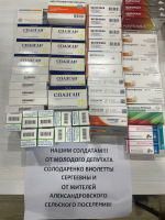 Виолетта Солодаренко помогла в закупке медикаментов для участников СВО
