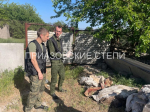 Дом с сюрпризом приобрели фермеры в Ейском районе