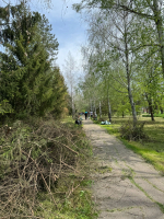 В рамках Всероссийского субботника, в парке пос. Октябрьский Ейского района состоялся масштабный субботник по наведению санитарного порядка