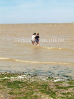 Обстановка на Ейском лимане