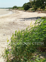 Обстановка на Ейском лимане