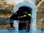 В подарок ко Дню защиты детей ребята клуба «Рука в руке»  получили шоу с дельфинами