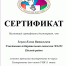 Члены городских участковых избирательных комиссий проходят тестирование в рамках подготовки к выборам Губернатора Краснодарского края назначенных на 14 сентября 2025 года - Администрация г. Ейска