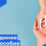 День единого пособия: консультация и практическая помощь кубанским семьям - Администрация Ейского района