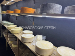 Сыр от Елены Синагуловой докатились до Аляски