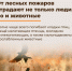Берегите лес от пожара! - Администрация Ейского района