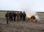 Очередной очаг дикорастущей наркосодержащей  конопли уничтожен в Ейском районе