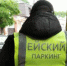 Уважаемые пользователи платных парковок (парковочных мест)! - Администрация г. Ейска