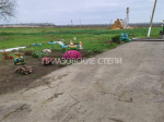 Красота на фермах Ейского района