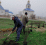 У мемориального комплекса в селе Воронцовке Ейского района высадили 11 скальников кавказских - Приазовские степи
