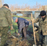 В парке Поддубного в Ейске очистили чашу фонтана - Приазовские степи