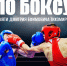 19-20 декабря в Ейске пройдут соревнования Чемпионата и Первенства Ейского района по боксу - Администрация Ейского района