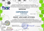 Участие в краевом интеллектуальном марафоне