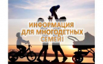 Начался приём заявлений от граждан, имеющих трёх и более детей, для участия в мероприятии по предоставлению компенсационной выплаты взамен земельного участка