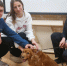 JPG Файл - Отдел МВД России по Ейскому району