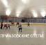 В Ейске завершилось первенство Краснодарского края по хоккею - Приазовские степи