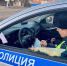 Внимание водители! - Администрация Ейского района