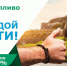 «Газпром газомоторное топливо» разработал социальную рекламу о преимуществах использования природного газа - Администрация г. Ейска