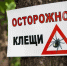 Территориальный отдел Управления Роспотребнадзора по Краснодарскому краю в Ейском, Щербиновском, Староминском районах предупреждает о начале сезона активности клещей!!! - Администрация Ейского района
