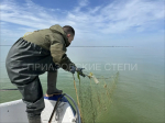 Сегодня в Ейском районе состоялся рейд по сохранению водных биоресурсов