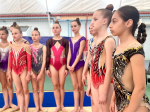 Сегодня в спортивном комплексе «Солнечный» состоялось торжественное открытие краевых соревнований по художественной гимнастике