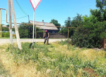 В Ейском районе активизирована работа по уничтожению амброзии