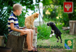 Чем можно заразиться от животных?